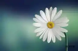 In the Sea