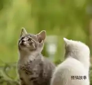 Everything Is New!