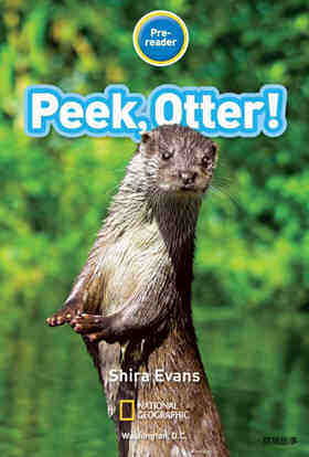 Peek Ottor