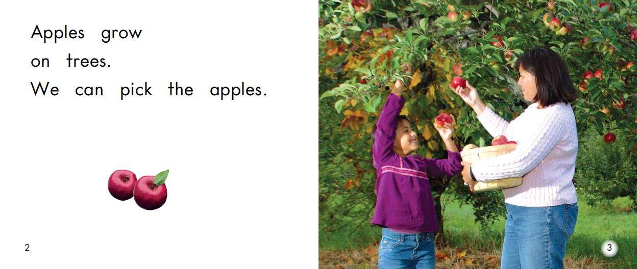 Where things grow绘本故事第3页