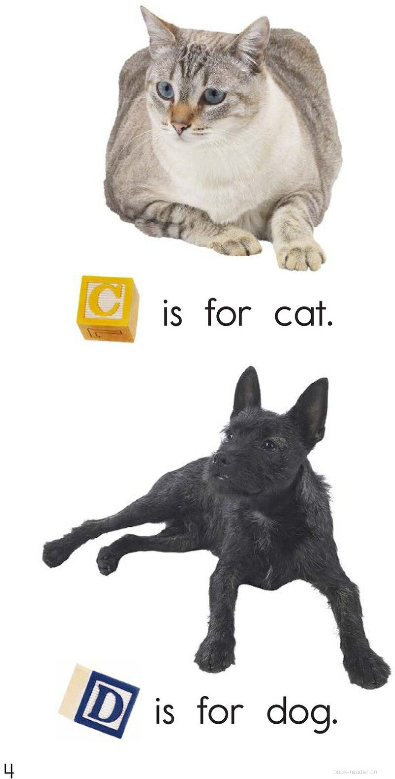 From A to Z绘本故事第4页