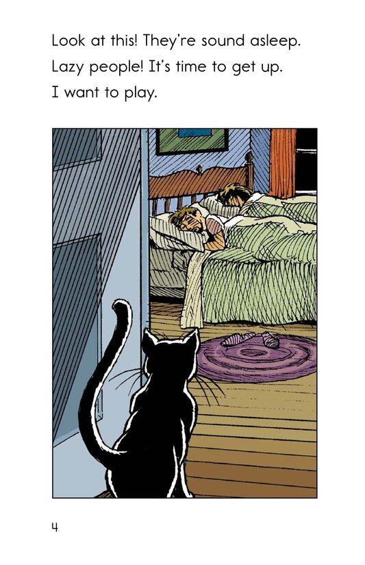 Alistair's Night绘本故事第4页