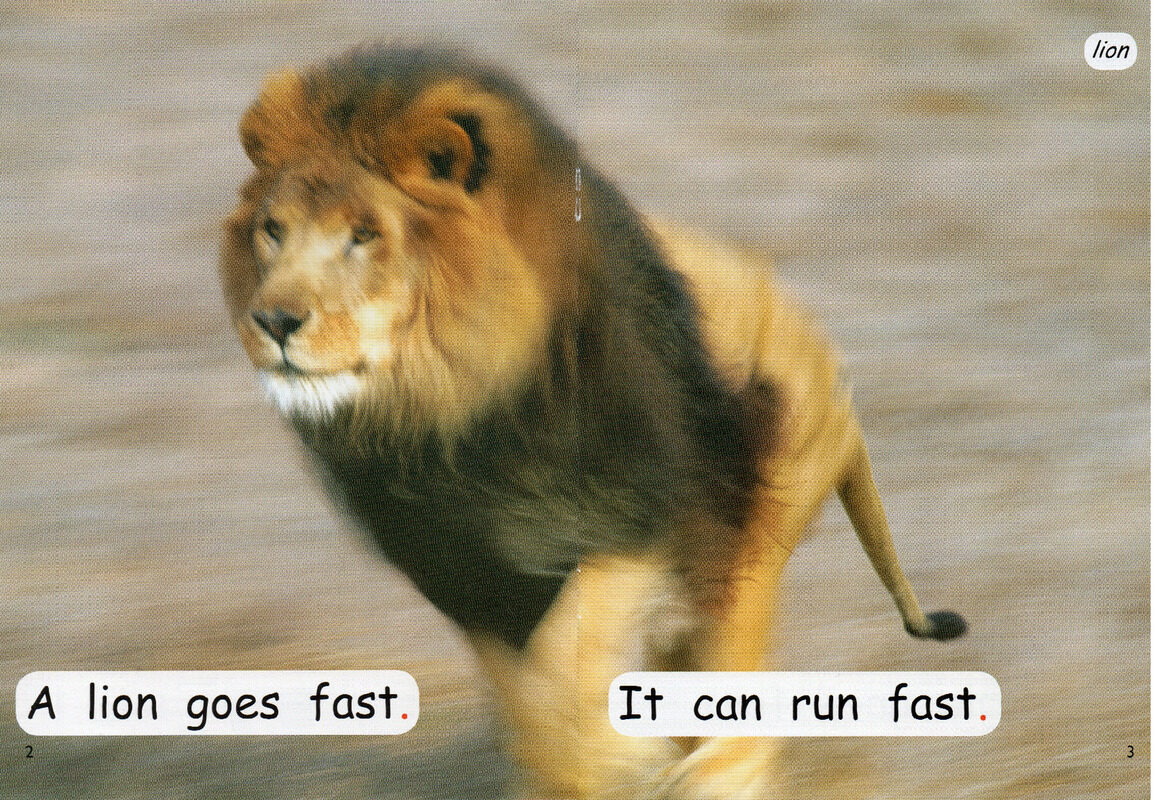 what goes fast绘本故事第3页