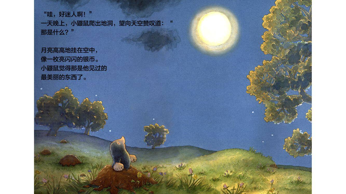 小鼹鼠摘月亮绘本故事第3页