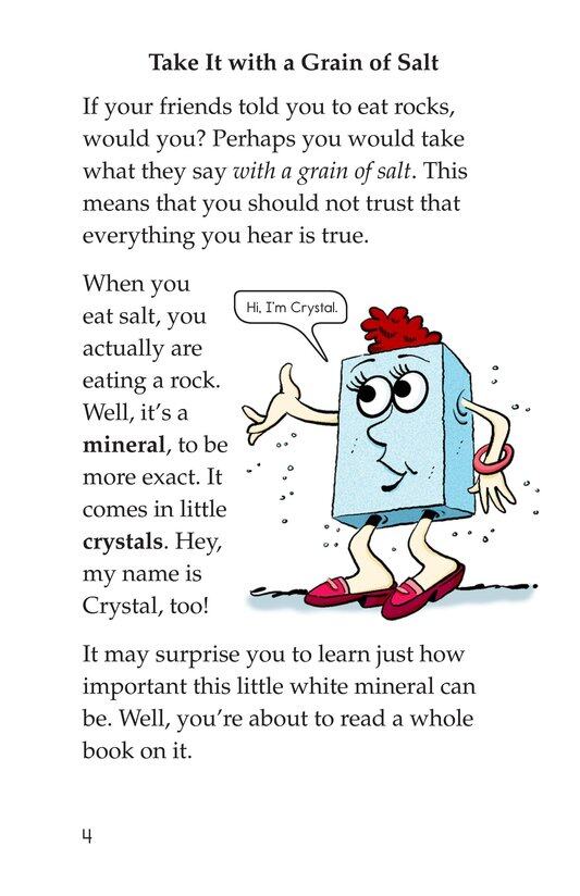 Salt Rocks!绘本故事第3页