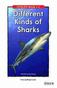Different Kinds of Sharks