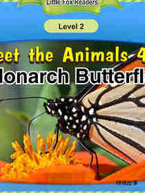 Monarch Butterfly