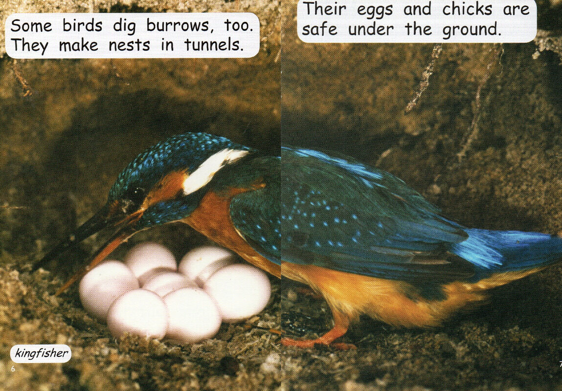 living underground绘本故事第5页