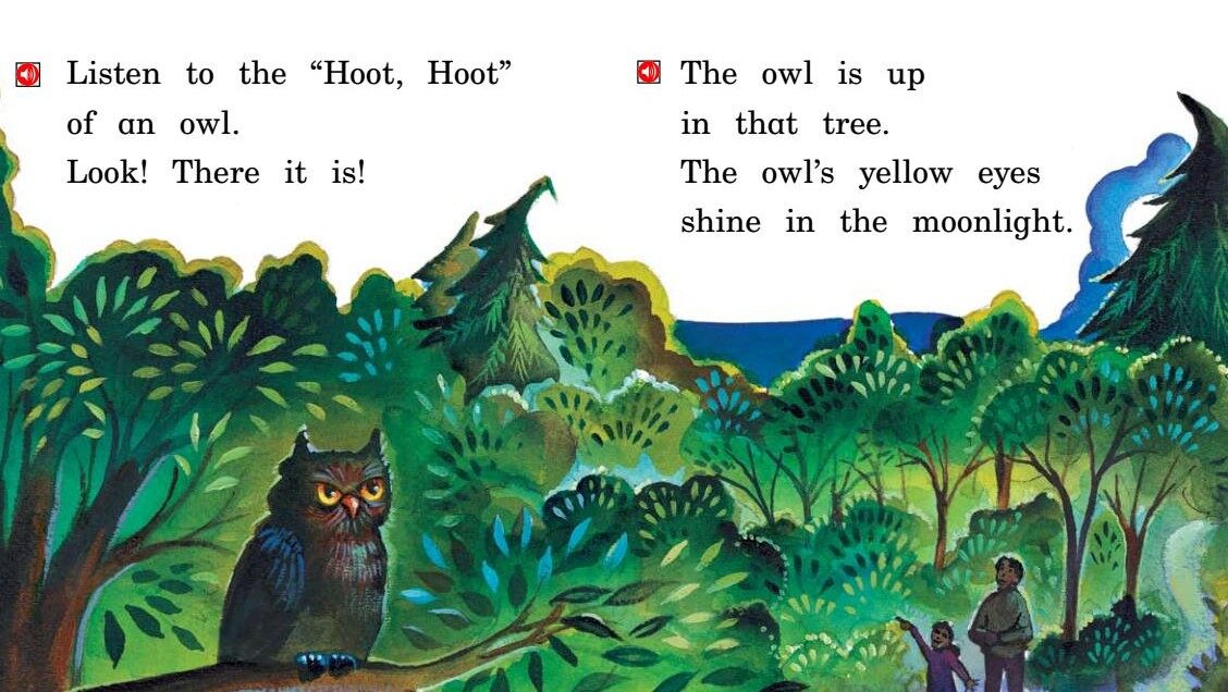 A walk at Night绘本故事第5页