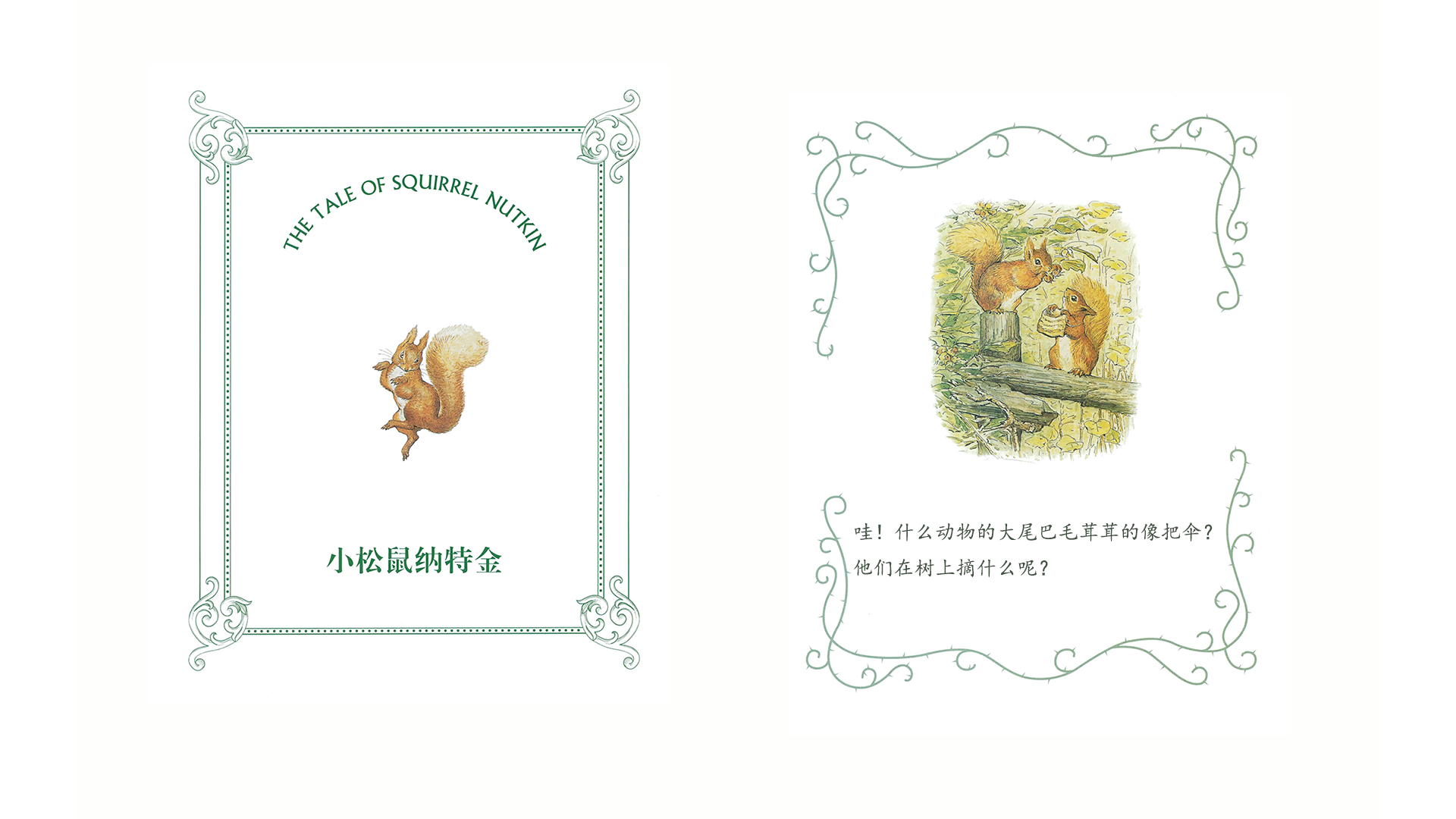 小松鼠纳特金绘本故事第3页