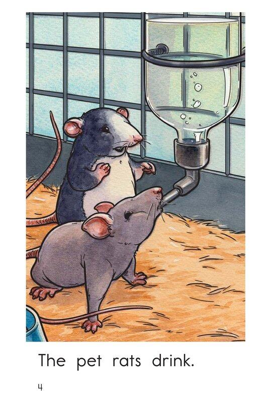 The Pet Rats绘本故事第4页