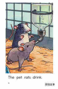 The Pet Rats绘本故事第4页