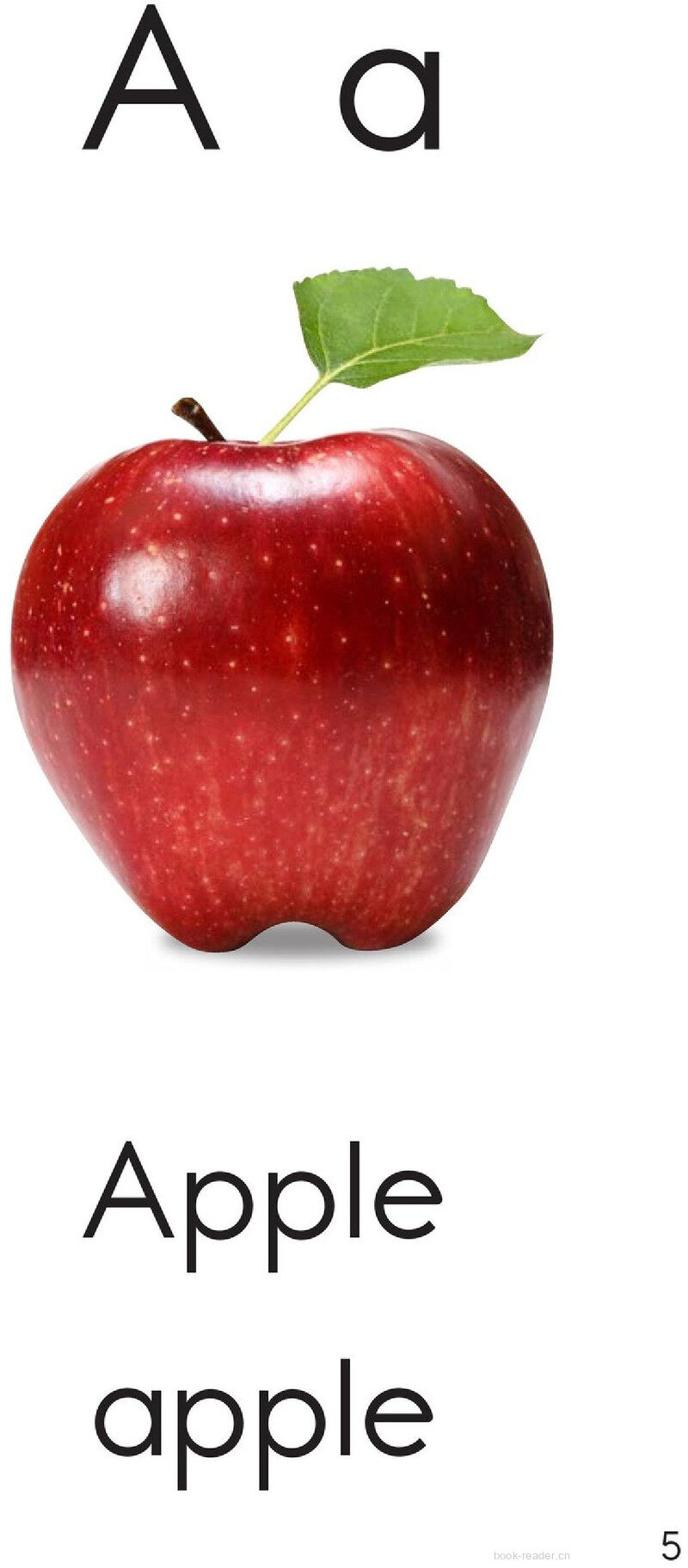 Letter A绘本故事第5页