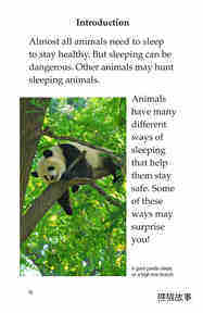 How Animals Sleep绘本故事第3页