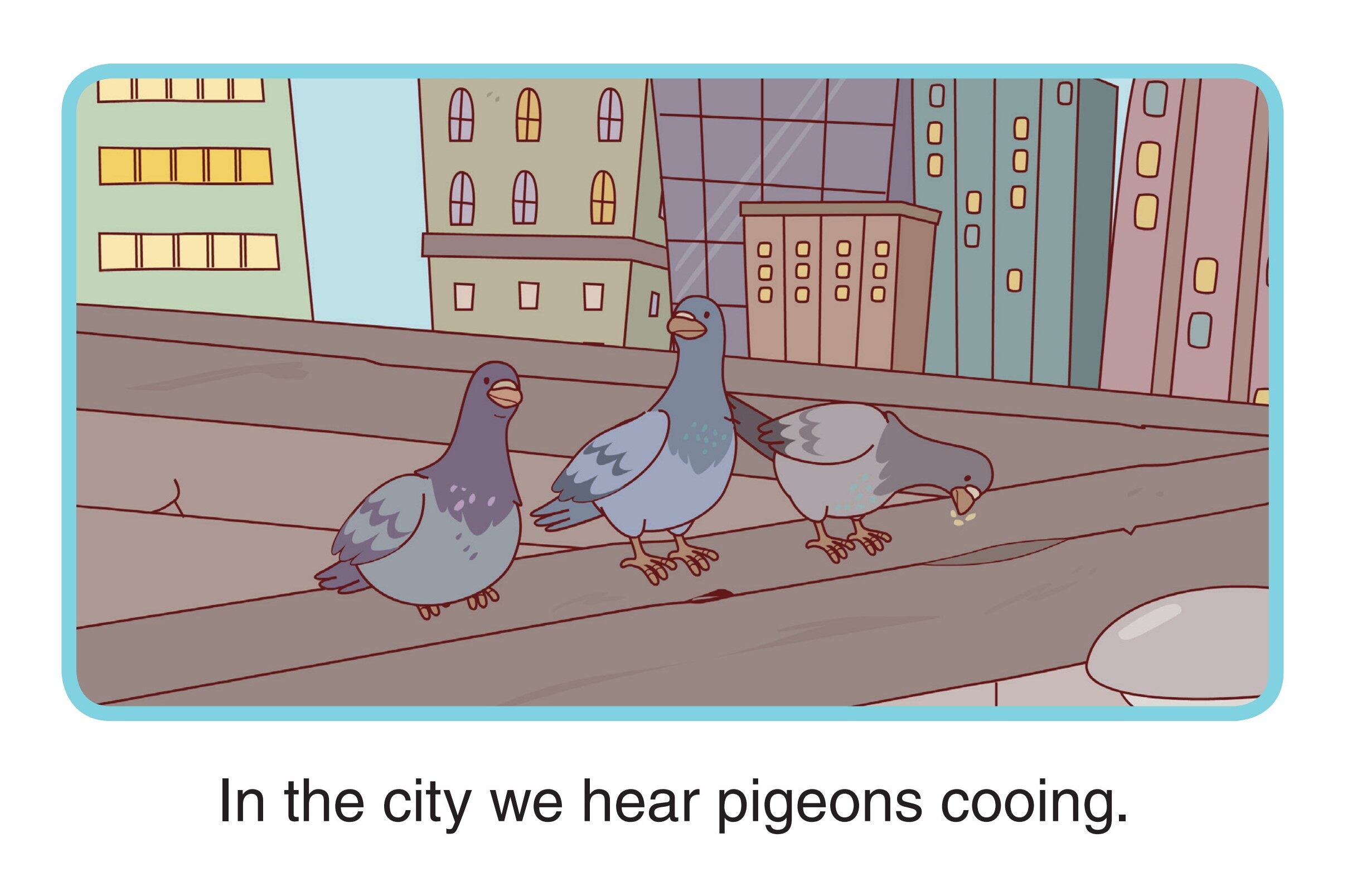 City Sounds and绘本故事第2页