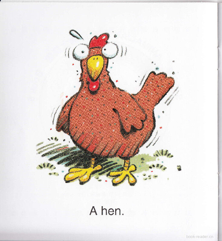 Wet Legs绘本故事第3页