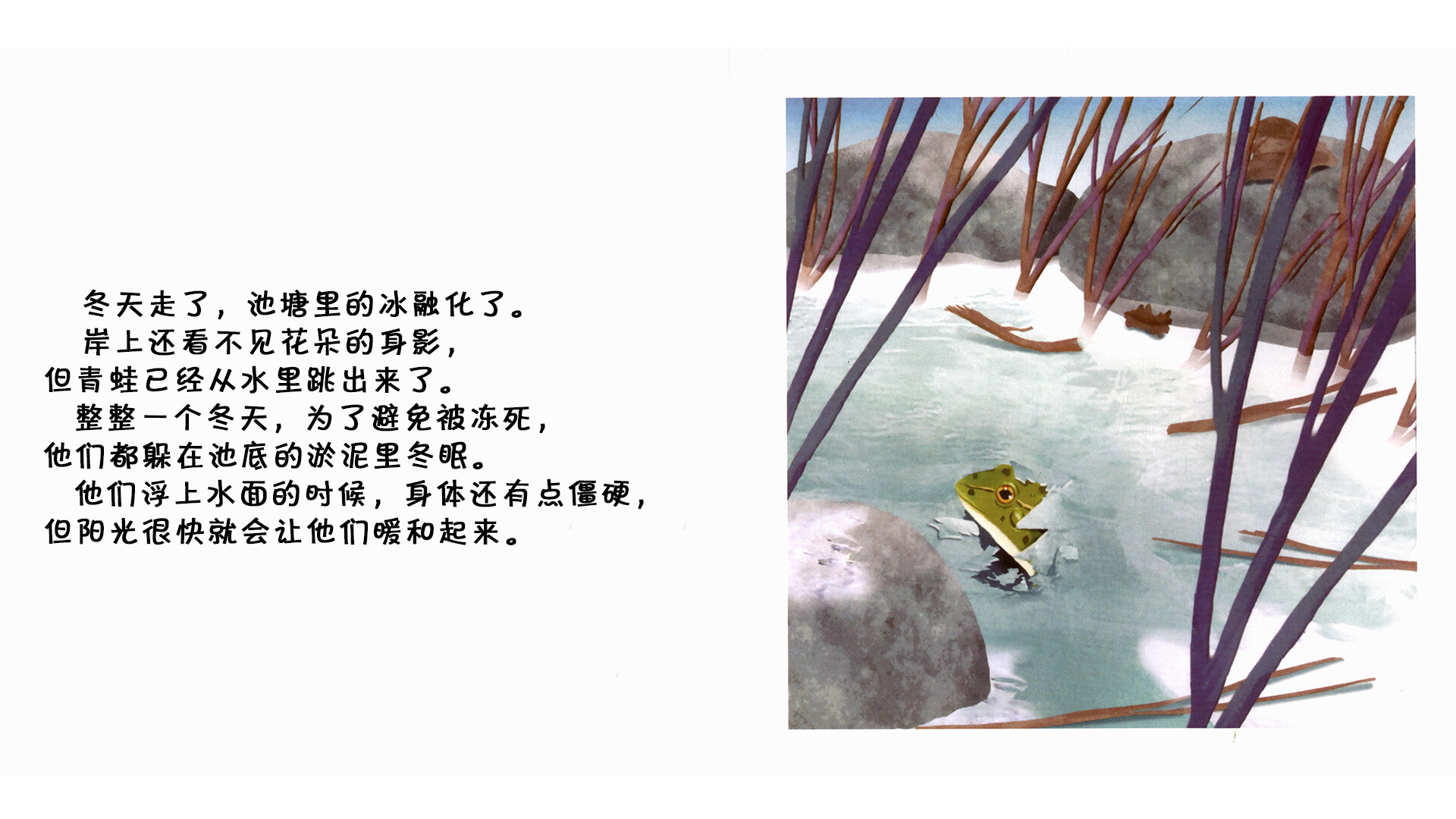 青蛙  绘本故事第3页