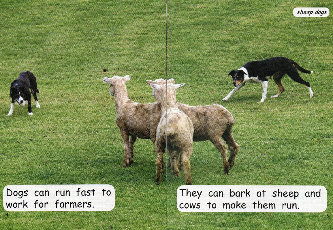 working animals绘本故事第4页