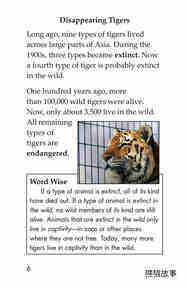 Saving the Last Wild Tigers绘本故事第5页