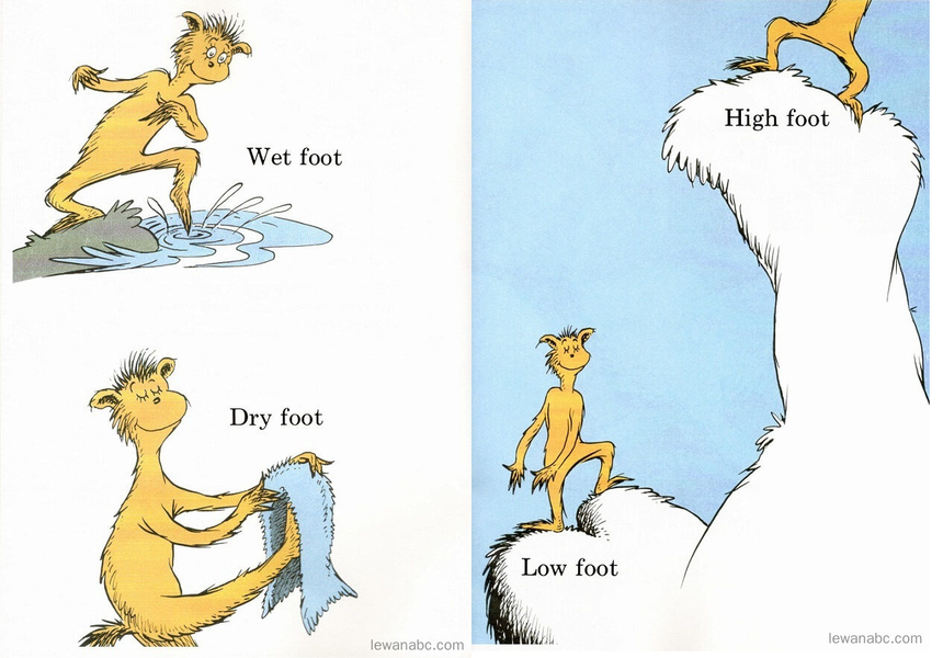 (22周)The Foot Book绘本故事第5页