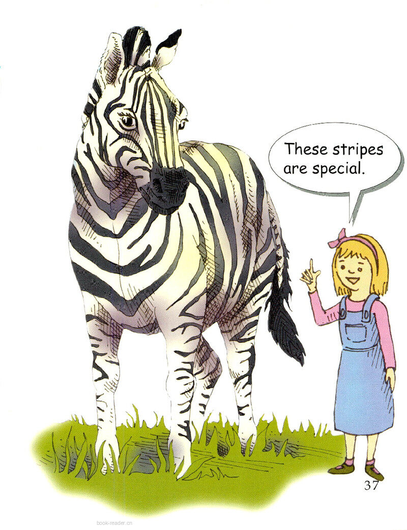 Zebra Stripes绘本故事第3页