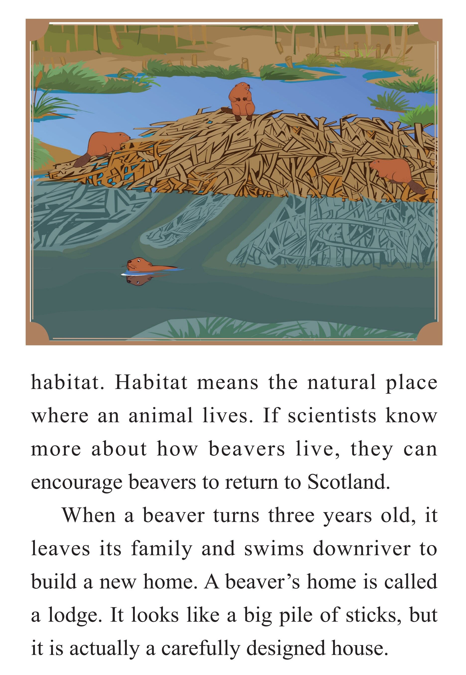 The Carpenter Beaver绘本故事第4页