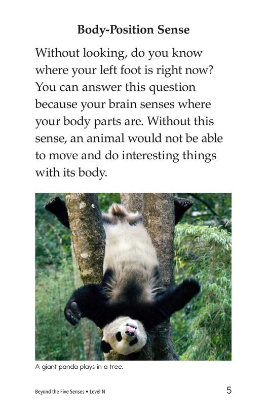 Beyond the Five Senses绘本故事第4页