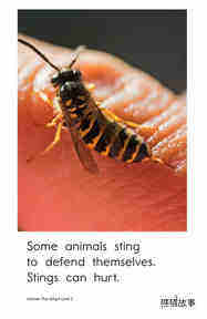 Animals That Sting绘本故事第3页
