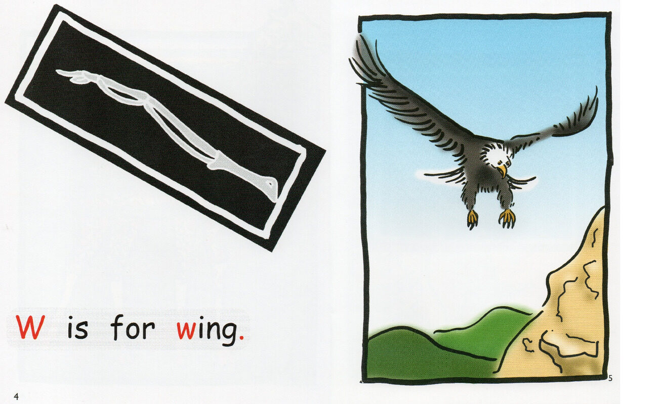 x-rays绘本故事第4页