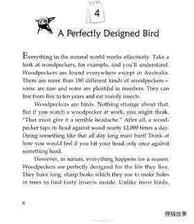 A Perfectly Designed Bird绘本故事第2页