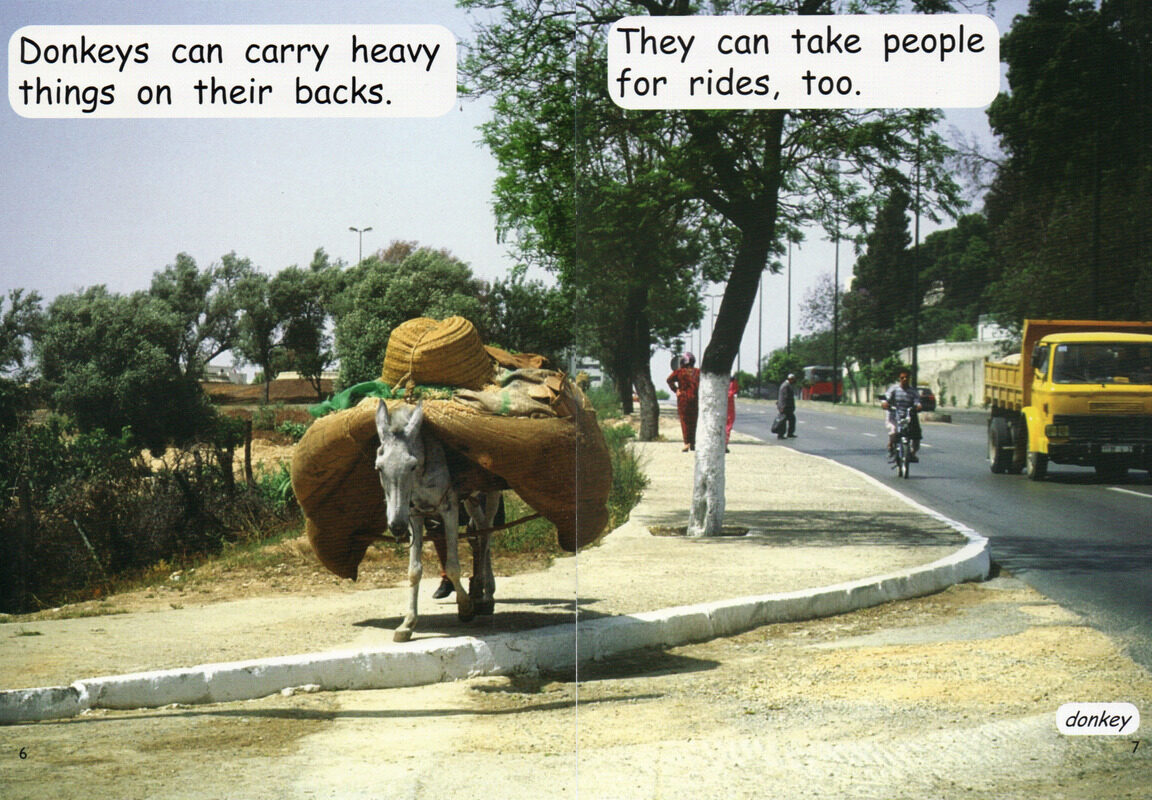 working animals绘本故事第5页