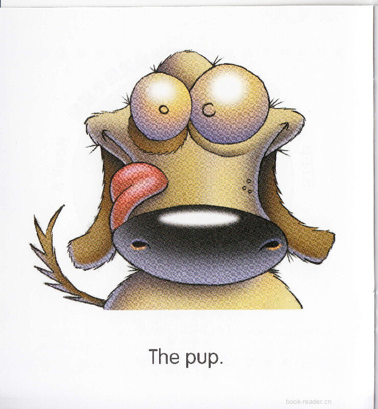 The Wet Pup绘本故事第3页