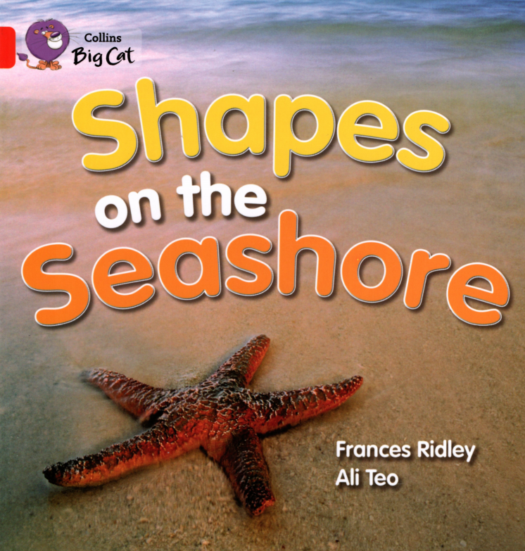 Shapes on the Seashore绘本故事第2页