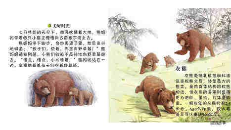 孤独的灰熊卡普绘本故事第4页