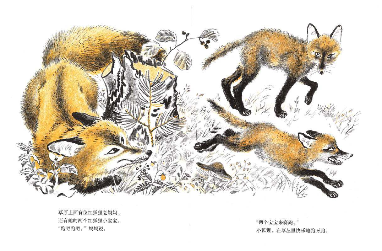 在草原上绘本故事第4页