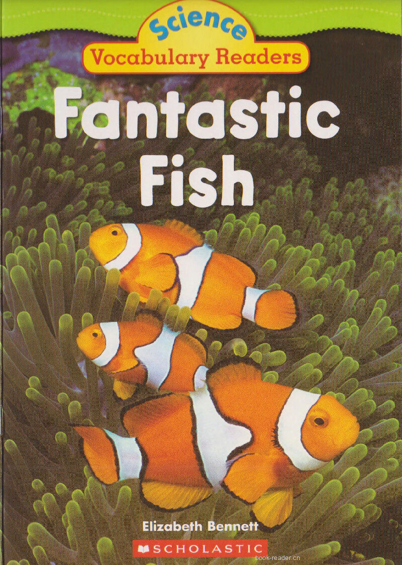 Fantastic Fish绘本故事第2页