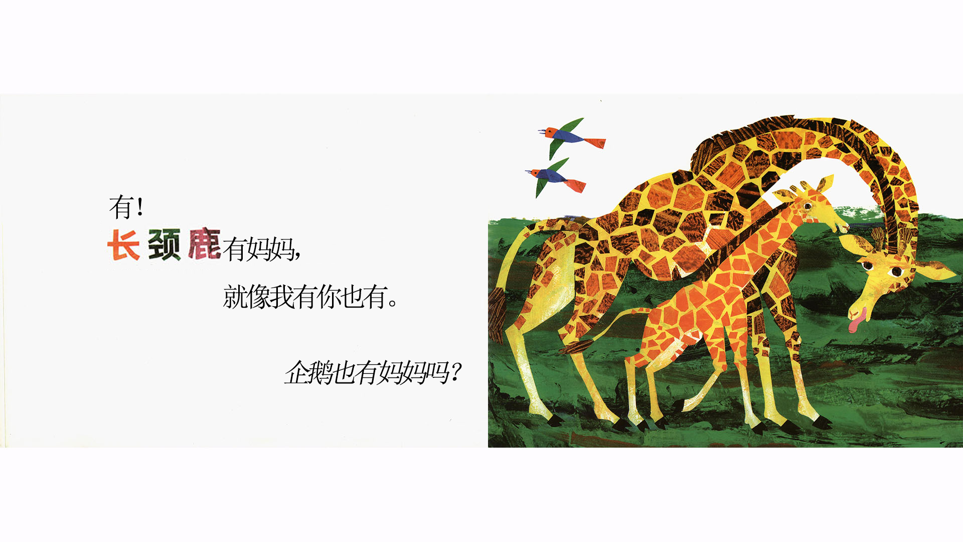 袋鼠也有妈妈吗？绘本故事第5页