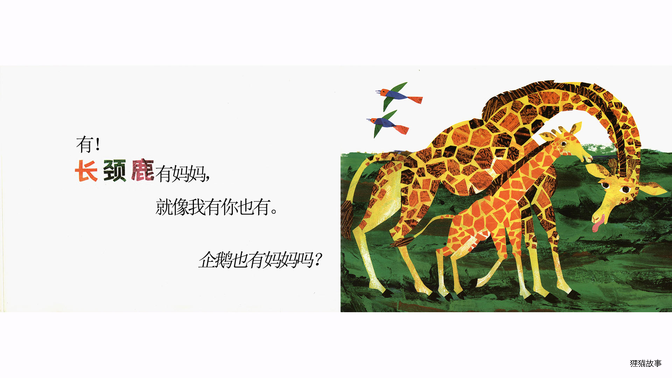 袋鼠也有妈妈吗？绘本故事第5页