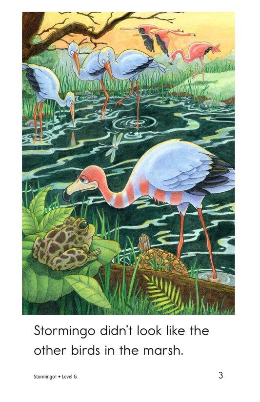 Stormingo!绘本故事第3页