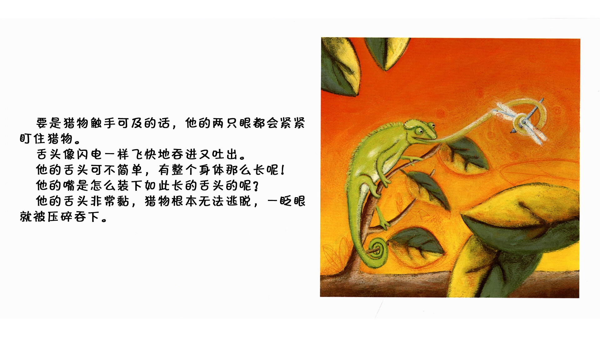 变色龙绘本故事第5页