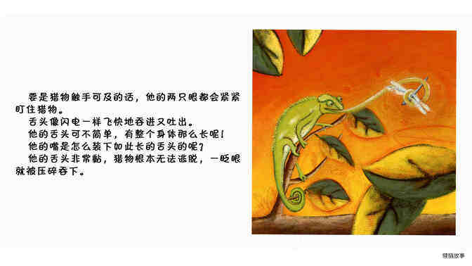 变色龙绘本故事第5页