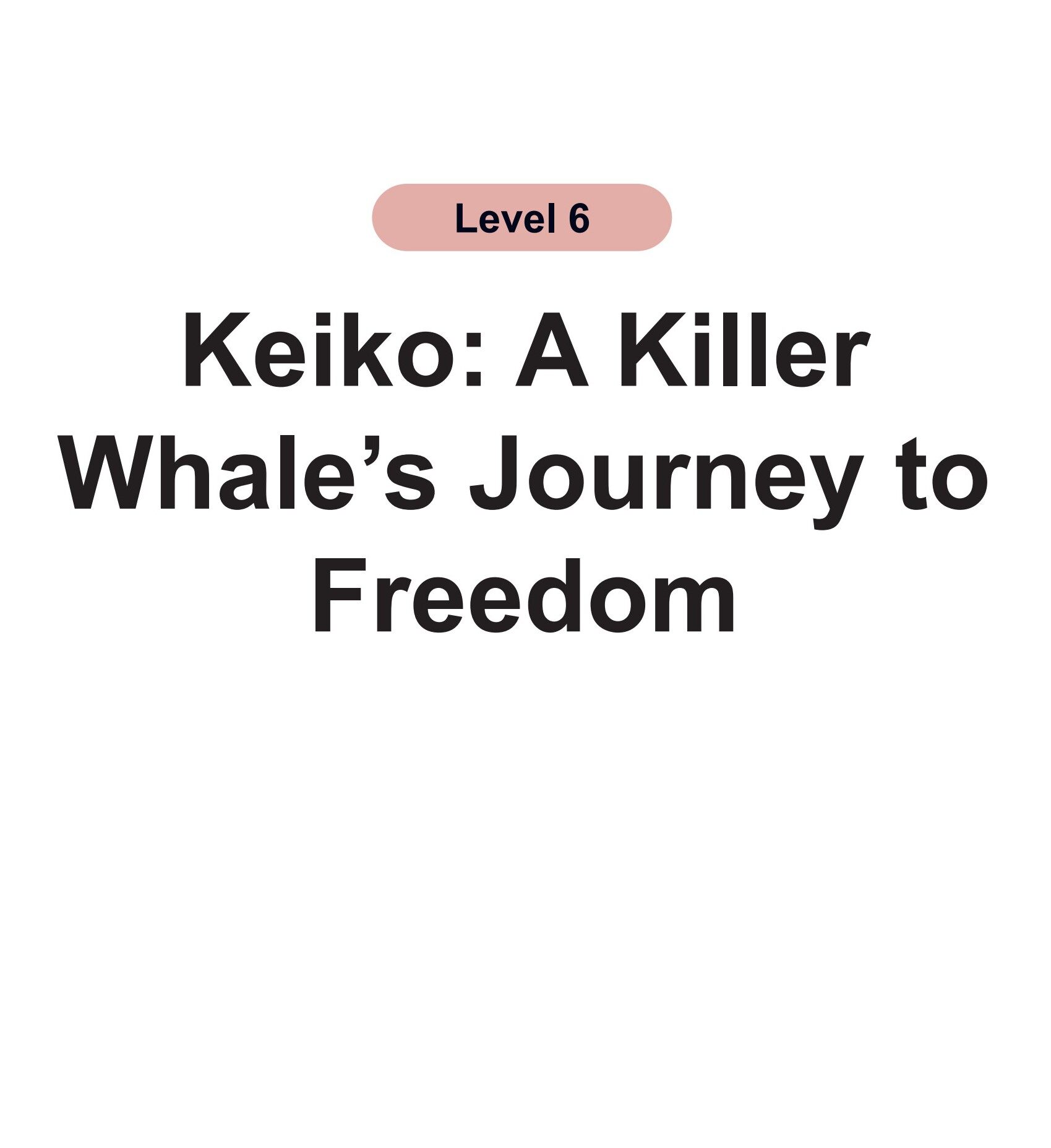 Keiko:A Killer Whale's Journey to Freedom绘本故事第2页
