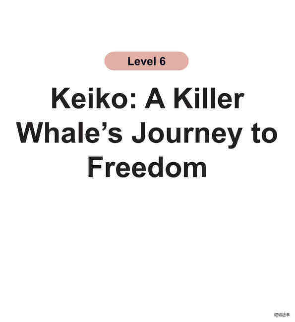 Keiko:A Killer Whale's Journey to Freedom绘本故事第2页