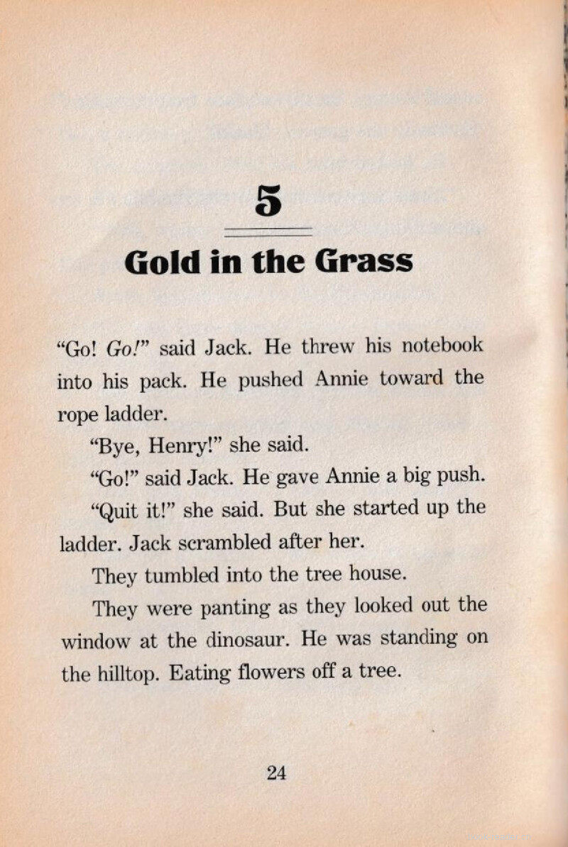05 Gold in the Grass绘本故事第2页