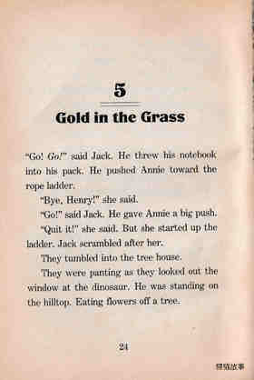 05 Gold in the Grass绘本故事第2页