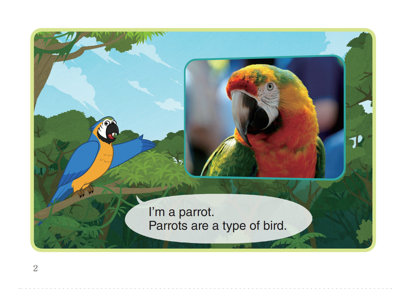 Parrot绘本故事第3页