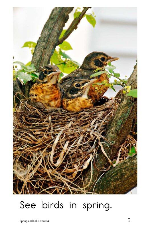 Spring and Fall绘本故事第5页