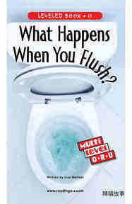 What Happens When You Flush