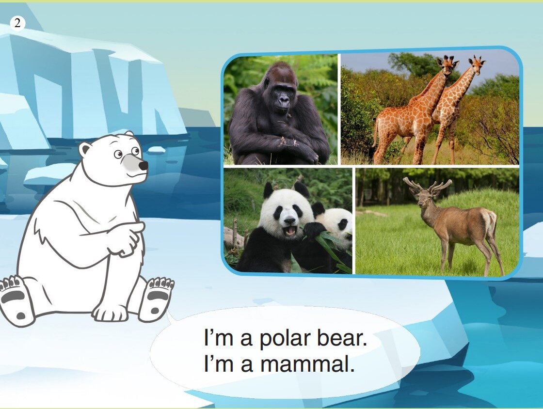 Polar Bear绘本故事第3页
