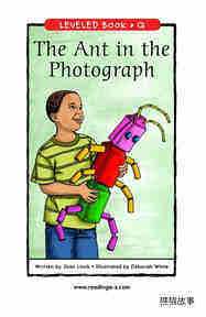 The Ant in the Photograph
